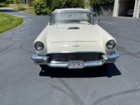 1957 Ford Thunderbird for sale in Michigan (ID-106578)