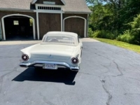 1957 Ford Thunderbird for sale in Michigan (ID-106578)