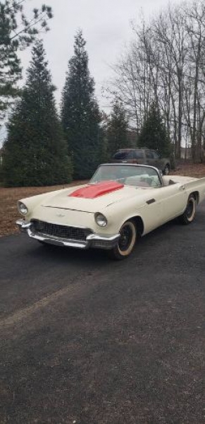 1957 Ford Thunderbird for sale in Michigan (ID-113143)