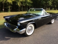 1957 Ford Thunderbird for sale in Michigan (ID-114691)