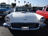 1957 Ford Thunderbird for sale in Michigan (ID-120560)