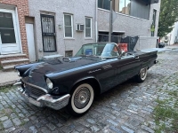 1957 Ford Thunderbird for sale in Michigan (ID-120708)