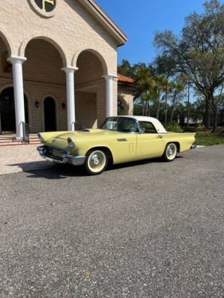 1957 Ford Thunderbird for sale in Michigan (ID-122395)