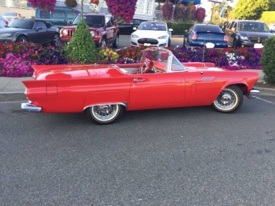 1957 Ford Thunderbird for sale