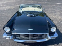 1957 Ford Thunderbird for sale in Michigan (ID-128187)