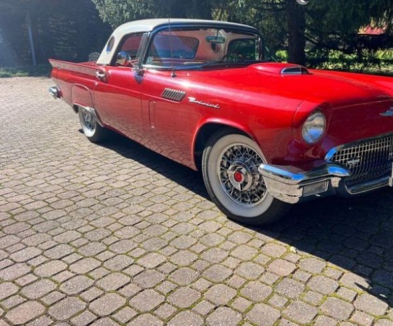 1957 Ford Thunderbird for sale in Michigan (ID-130693)