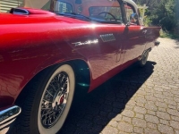 1957 Ford Thunderbird for sale in Michigan (ID-130693)