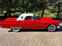 1957 Ford Thunderbird for sale in Michigan (ID-130693)
