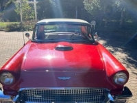 1957 Ford Thunderbird for sale in Michigan (ID-130693)