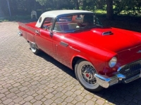 1957 Ford Thunderbird for sale in Michigan (ID-130693)