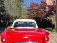 1957 Ford Thunderbird for sale in Michigan (ID-130693)