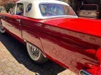 1957 Ford Thunderbird for sale in Michigan (ID-130693)