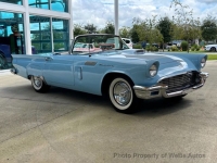 1957 Ford Thunderbird for sale in Riverhead, New York (ID-134000)