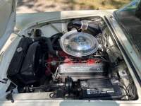 1957 Ford Thunderbird for sale in Michigan (ID-134157)