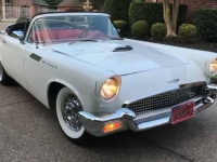 1957 Ford Thunderbird for sale in Michigan (ID-135081)