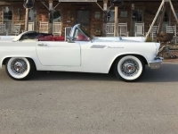 1957 Ford Thunderbird for sale in Michigan (ID-135081)
