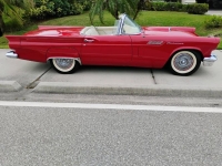 1957 Ford Thunderbird for sale in Michigan (ID-135532)