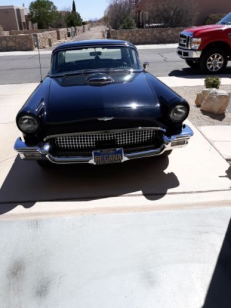 1957 Ford Thunderbird for sale in Michigan (ID-139789)
