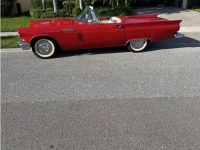1957 Ford Thunderbird for sale in Michigan (ID-141010)