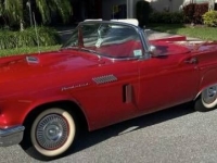 1957 Ford Thunderbird for sale in Michigan (ID-141010)