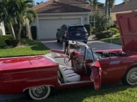 1957 Ford Thunderbird for sale in Michigan (ID-141010)