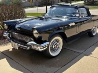 1957 Ford Thunderbird for sale in Michigan (ID-141333)