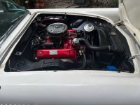 1957 Ford Thunderbird for sale in Michigan (ID-144112)