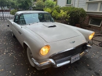 1957 Ford Thunderbird for sale in Michigan (ID-144112)