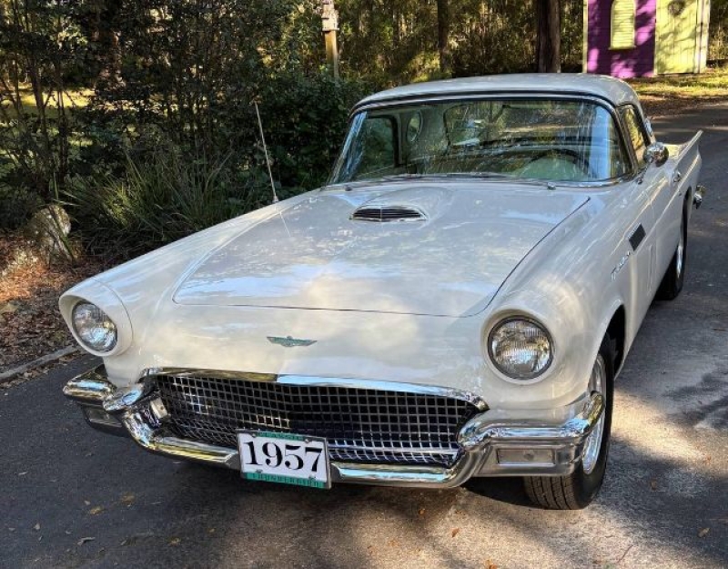 1957 Ford Thunderbird for sale in Michigan (ID-155160)