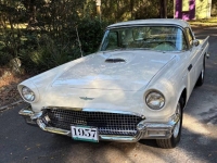 1957 Ford Thunderbird for sale in Michigan (ID-155160)
