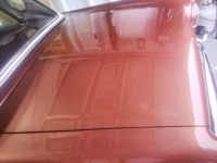 1957 Ford Thunderbird for sale (ID-156022)