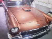 1957 Ford Thunderbird for sale (ID-156022)