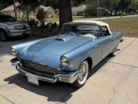 1957 Ford Thunderbird for sale in Michigan (ID-163343)