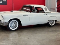 1957 Ford Thunderbird for sale in Michigan (ID-164156)