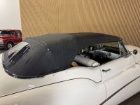 1958 Buick Skylark for sale in Michigan (ID-146817)