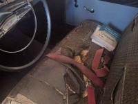 1958 Chevrolet Biscayne for sale in Michigan (ID-162627)