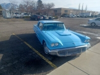 1958 Ford Thunderbird for sale in Michigan (ID-111518)
