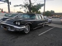 1958 Ford Thunderbird for sale in Michigan (ID-124508)