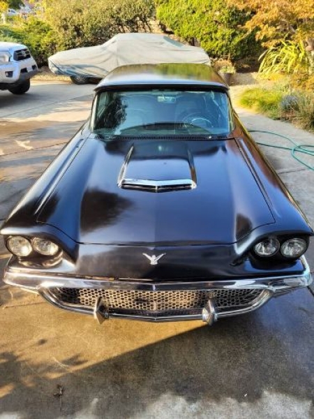 1958 Ford Thunderbird for sale in Michigan (ID-130568)