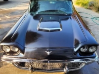 1958 Ford Thunderbird for sale in Michigan (ID-130568)