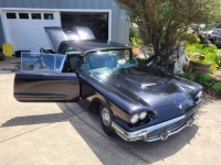 1958 Ford Thunderbird for sale in Michigan (ID-130568)