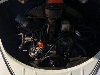 1958 Volkswagen Beetle for sale in Riverhead, New York (ID-137927)