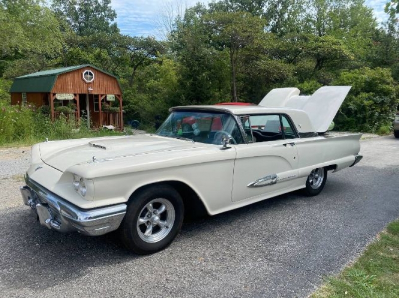 1959 Ford Thunderbird for sale in Michigan (ID-91995)