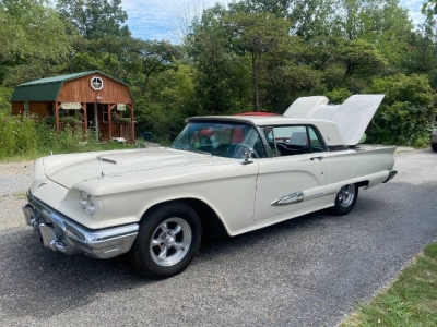 1959 Ford Thunderbird for sale