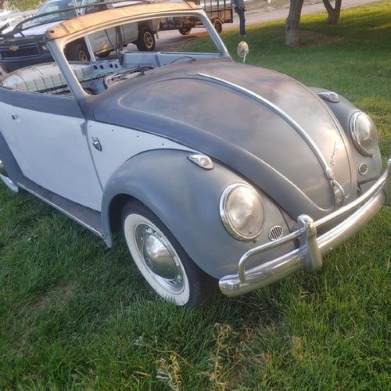 1959 Volkswagen Beetle for sale in Michigan (ID-91691)