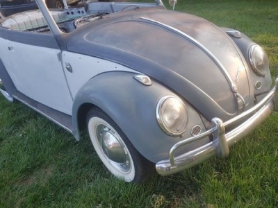 1959 Volkswagen Beetle for sale
