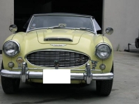 1959 Austin-Healey 3000 for sale in Michigan (ID-161366)