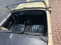 1959 Austin-Healey Bugeye Sprite for sale in Michigan (ID-123990)