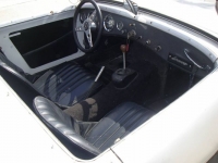 1959 Austin-Healey Bugeye Sprite for sale in Michigan (ID-126476)