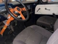 1959 Chevrolet Apache for sale in Michigan (ID-146709)